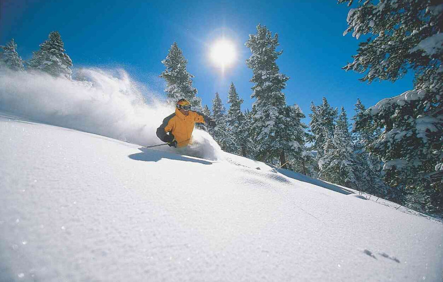 Downhill Skiing and Snowboarding Tour