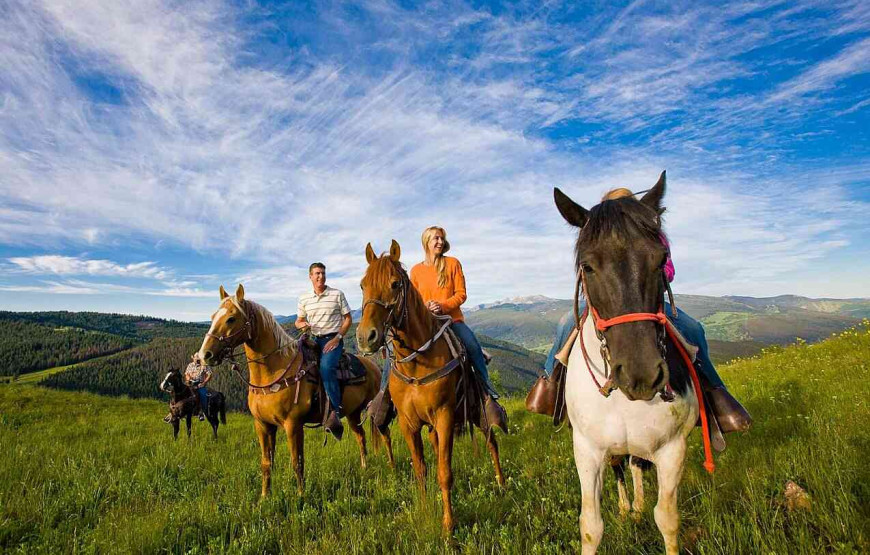 Horseback Riding Tour in Bohemian Switzerland