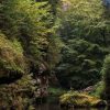 One day trip to Bohemian Switzerland from Prague