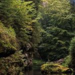 Private Day Trip of Bohemian Switzerland & Saxon Switzerland