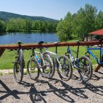 Mountain Bike Adventure Tour from Prague
