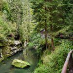 Romantic Boat Ride &  Bastei Bridge Tour in Bohemian- Saxon Switzerland