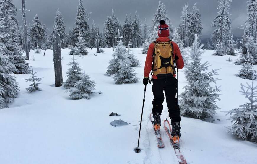 Cross country skiing Guided Tour from Prague