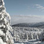 Cross country skiing Guided Tour from Prague