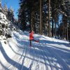 cross country skiing beginner friendly