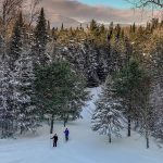 Cross country skiing Guided Tour from Prague