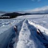 cross country skiing groomed trails