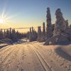 cross country skiing mountain views