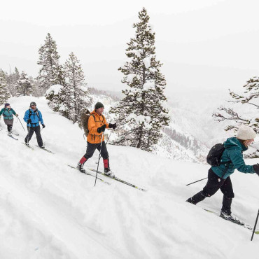 Cross Country Skiing