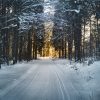 Cross Country skiing tours from Prague to Bohemian Switerland