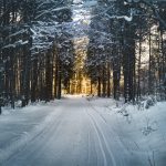 Cross country skiing Guided Tour from Prague