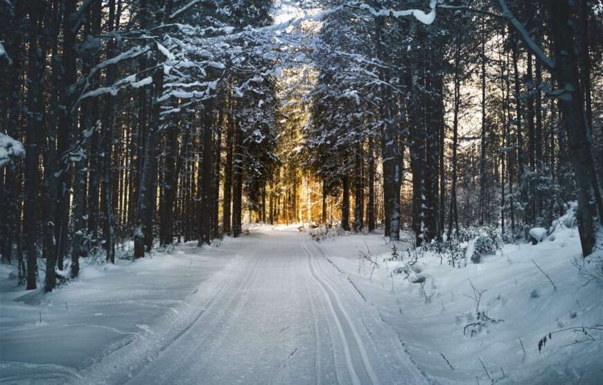 Cross country skiing Guided Tour from Prague