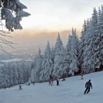Downhill Skiing and Snowboarding Tour
