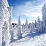Downhill Skiing and Snowboarding Tour