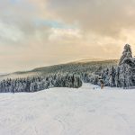 Downhill Skiing and Snowboarding Tour
