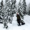 snowshoeing czech republic