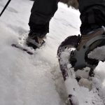 Winter Wonderland Snowshoeing Tour