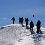 Winter Wonderland Snowshoeing Tour