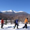 snowshoeing winter forest