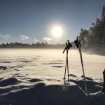 Winter Wonderland Snowshoeing Tour