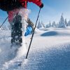 snowshoeing winter wonderland