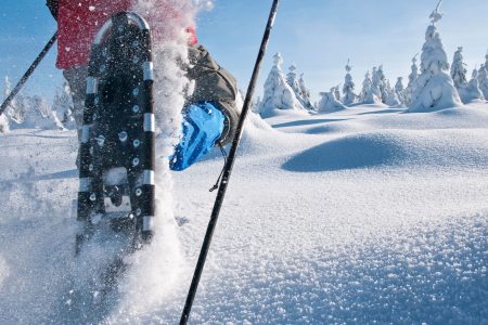snowshoeing winter wonderland