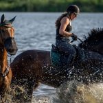 Horseback Riding Tour from Prague in Bohemian Switzerland