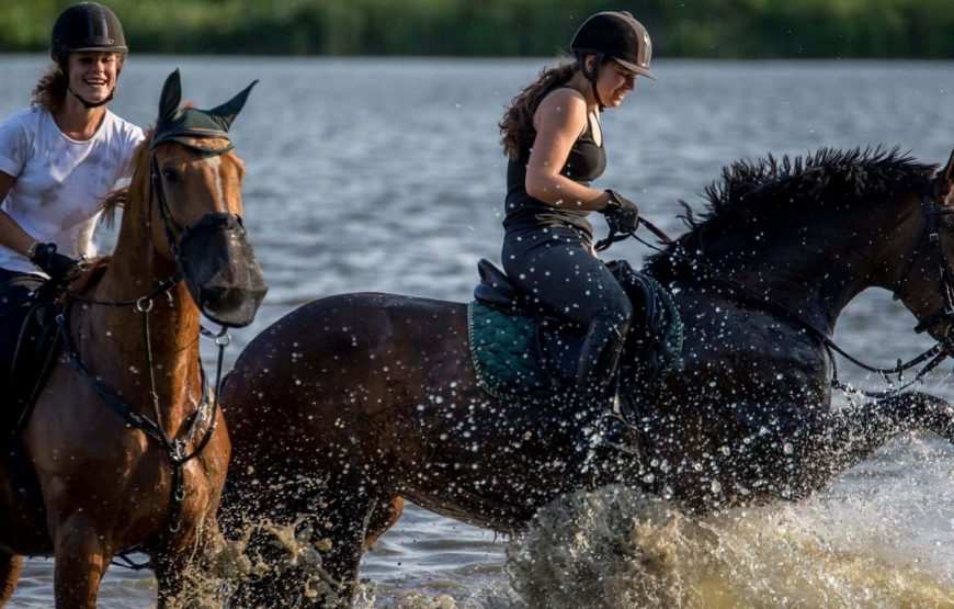 Horseback Riding Tour from Prague in Bohemian Switzerland