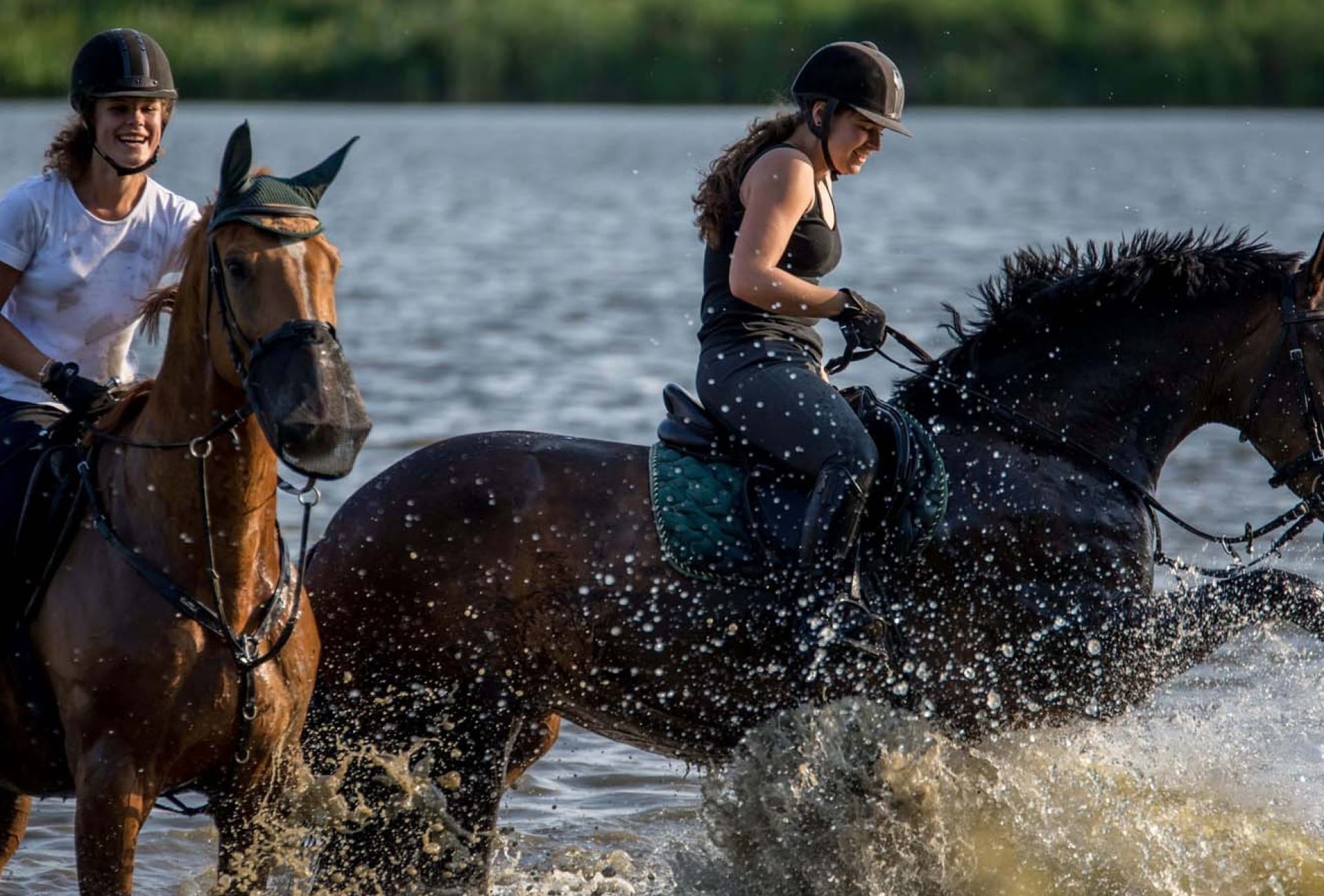 Horseback Riding in Czech Republic