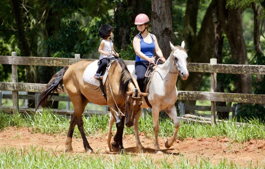 Horseback Riding Tour from Prague in Bohemian Switzerland