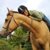 Horse back riding trip in Bohemian Switzerland