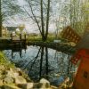 forest view holiday cabin