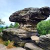 Tisa Rocks Mushroom
