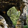 tisa rocks forest trail