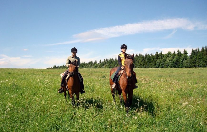 Horseback Riding Tour from Prague in Bohemian Switzerland