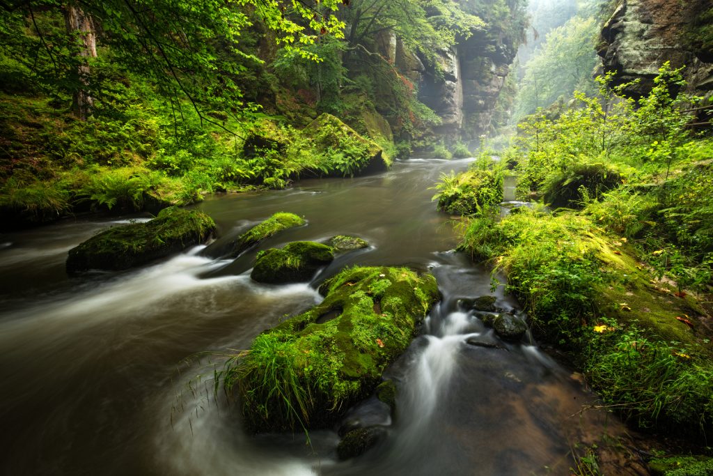 Visit Bohemian Switzerland from Prague one day tour