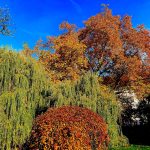 Karlovy Vary All-Inclusive Escape: Springs, Views & Culture