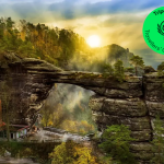 Travelers’ Choice 2026: Top Highlights of Bohemian & Saxon Switzerland with Boat Ride