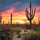 Discover56251281157 Avatar