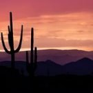 Navigate49339356230 Avatar