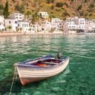 Paradise56711012136 Avatar